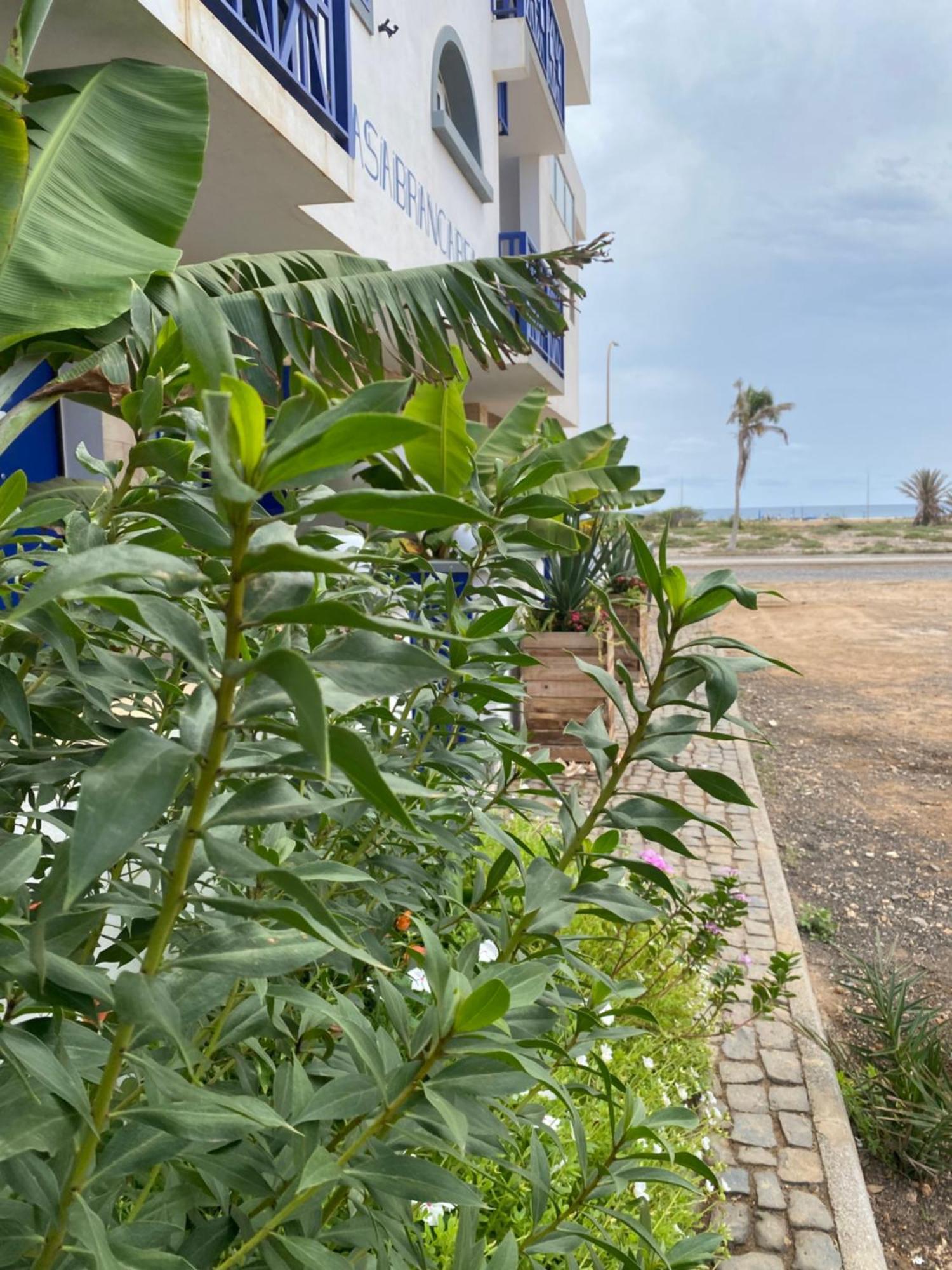 Casa Branca Beach Santa Maria Extérieur photo